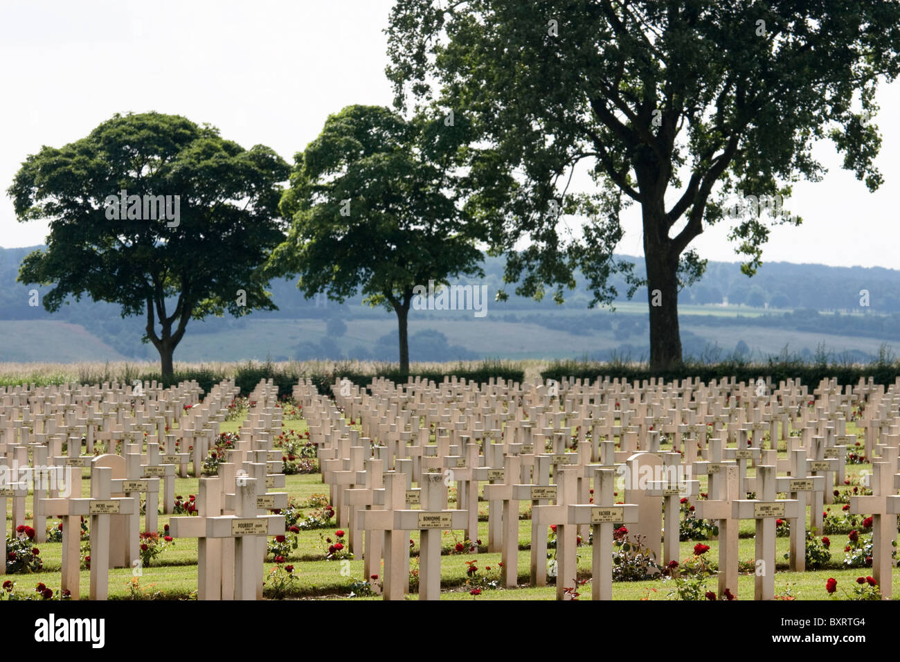 France, Somme, Nord Pas de Calais, Notre Dame de Lorrette, View of cross at military cemetery Stock Photo