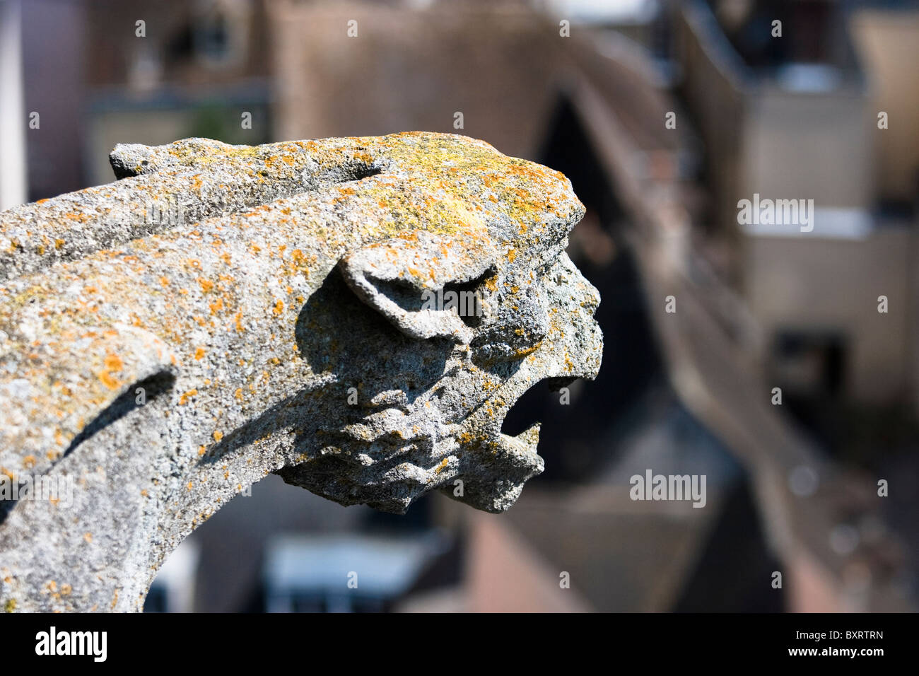 France, Loire, Gargoyle in Chartres Cathedral Stock Photo Alamy