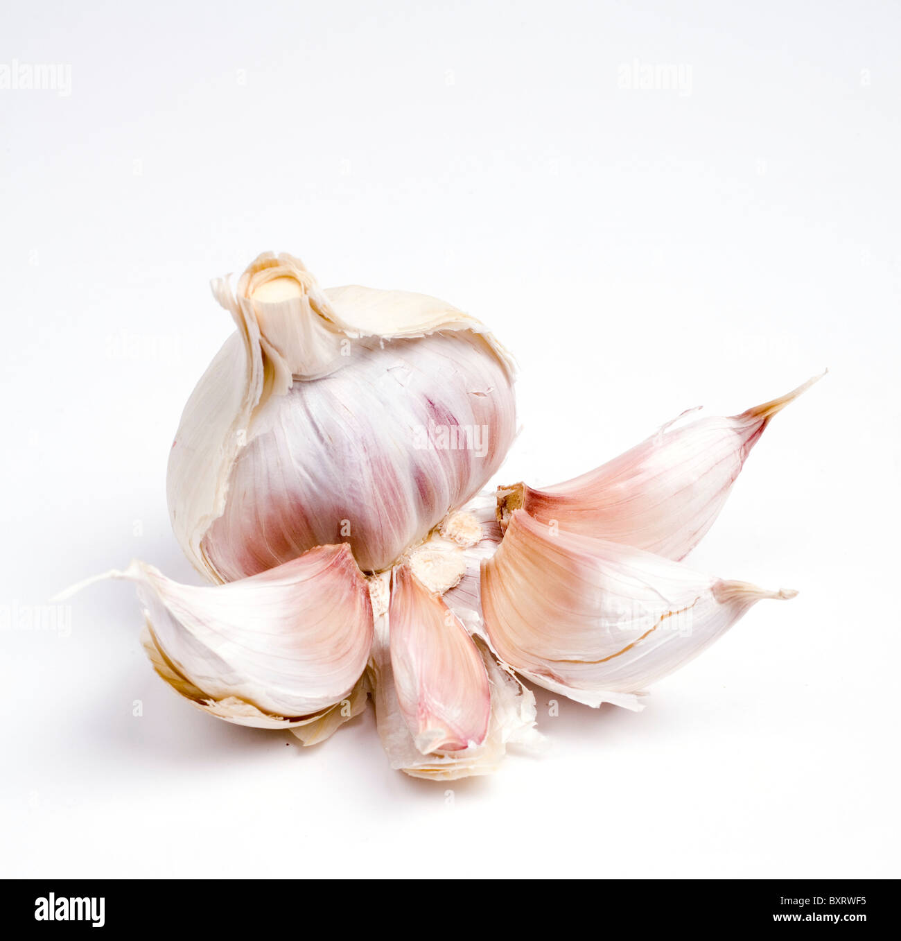 Garlic on white background, close-up Stock Photo