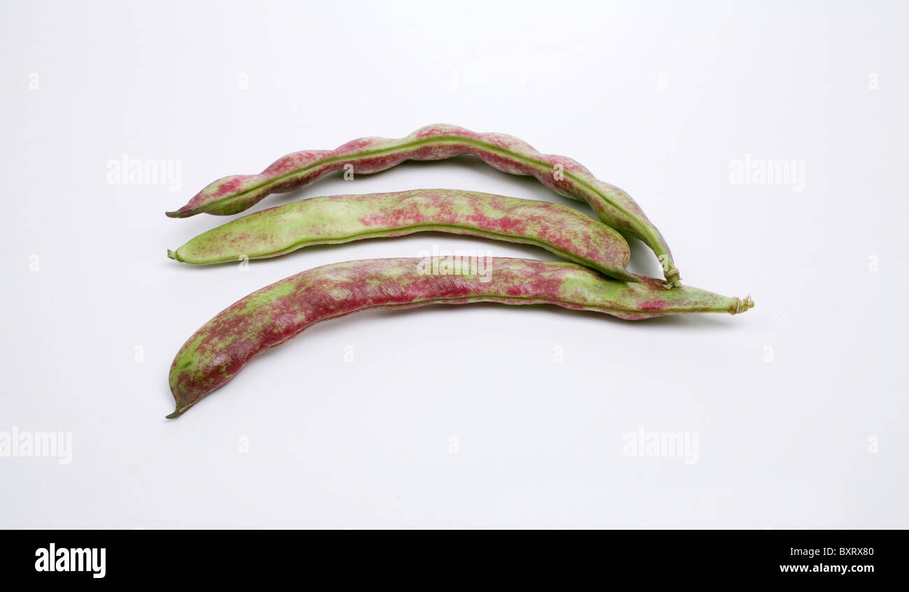 Haricots violets bean pods Stock Photo