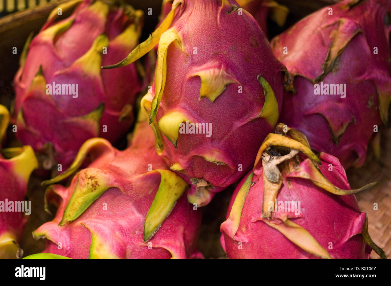 Selection of Pink Dragon fruit Stock Photo Alamy