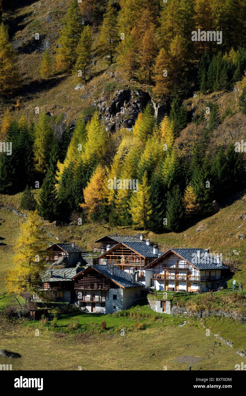 Biel Walser village, Gressoney-La-Trinite, Gressoney Valley, Aosta Valley, Italy, Europe Stock Photo