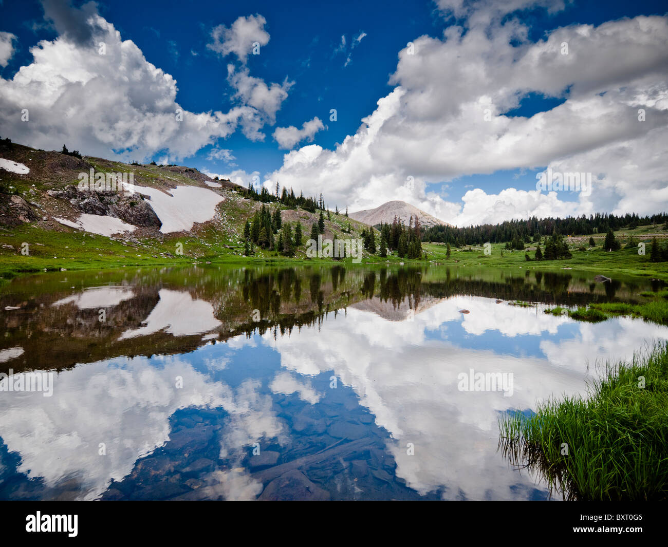 Medicine Bow Mountain national forest, A Wyoming national park Stock