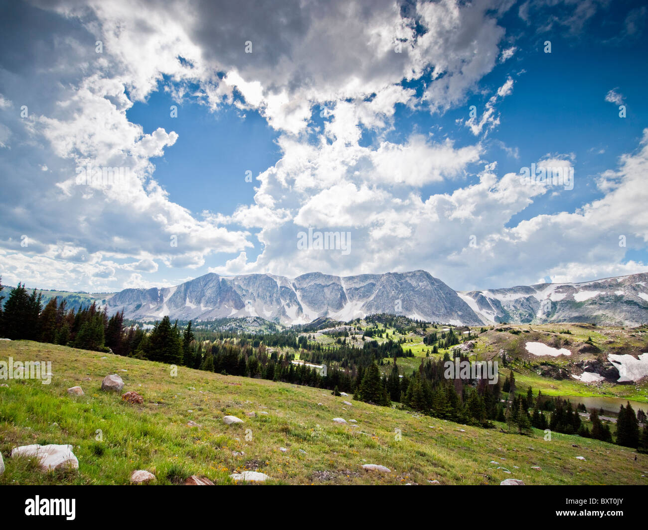 Medicine Bow Mountain national forest, A Wyoming national park Stock