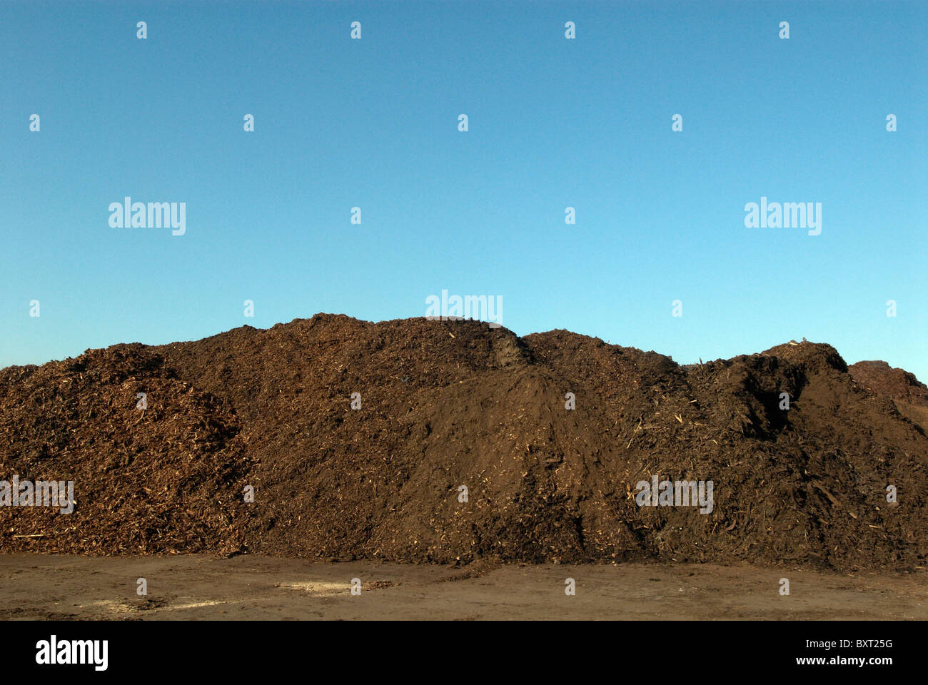 Green waste at Green Waste Recycling Centre UK Stock Photo Alamy