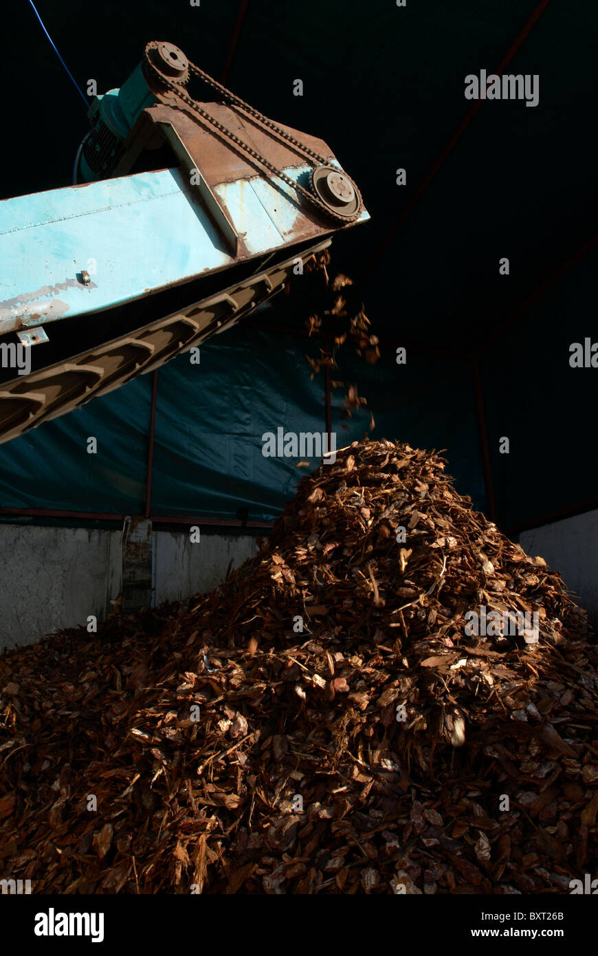 Wood chip recycling Stock Photo Alamy