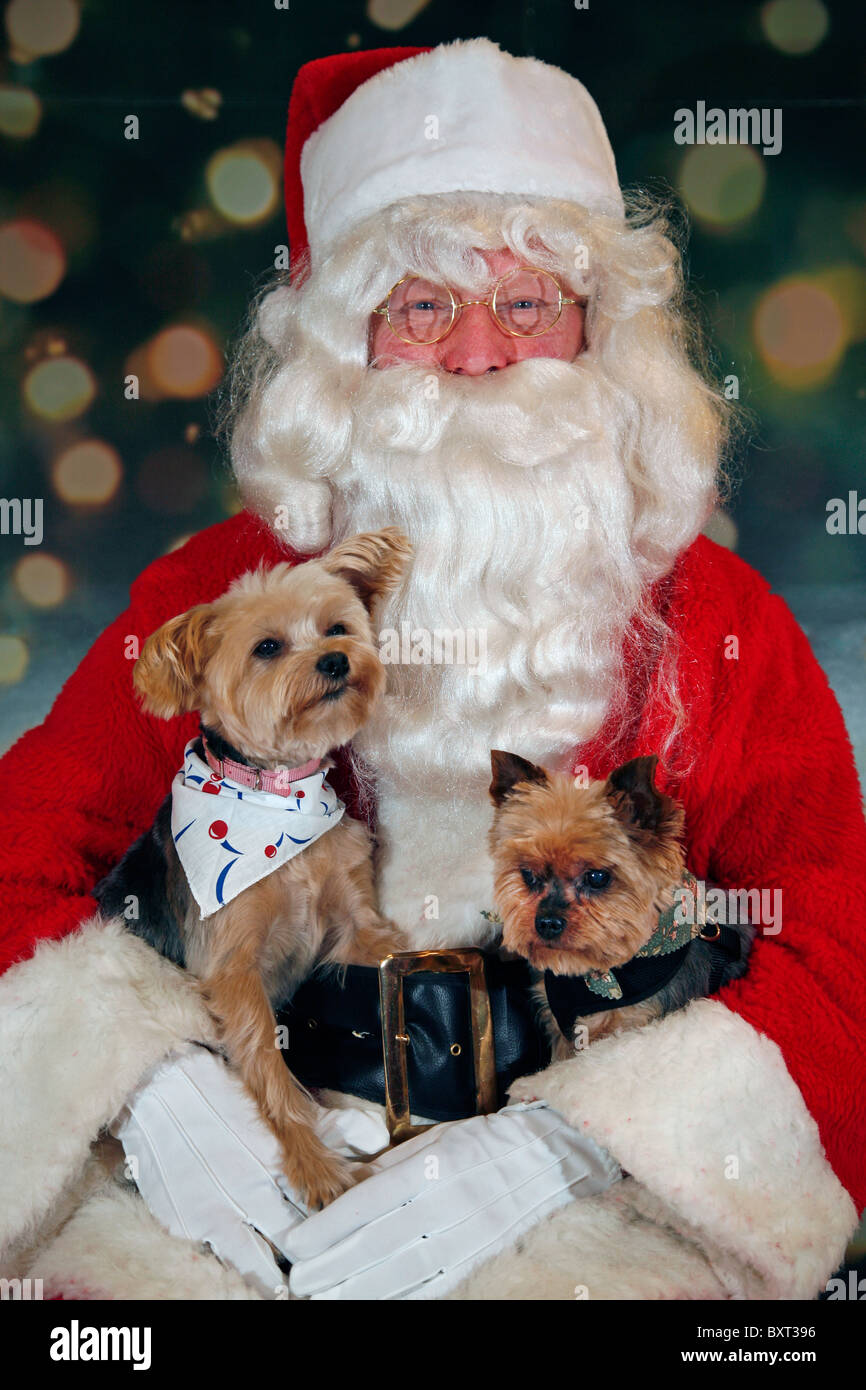 96 best ideas for coloring Santa With Dog
