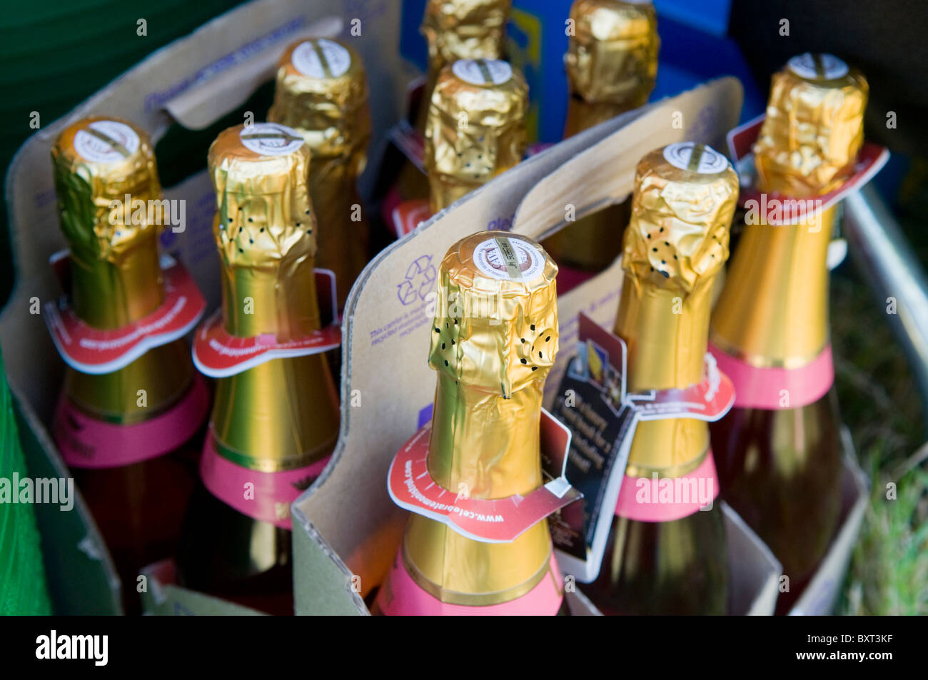 Bottles of sparkling wine in a cardboard carrier Stock Photo Alamy