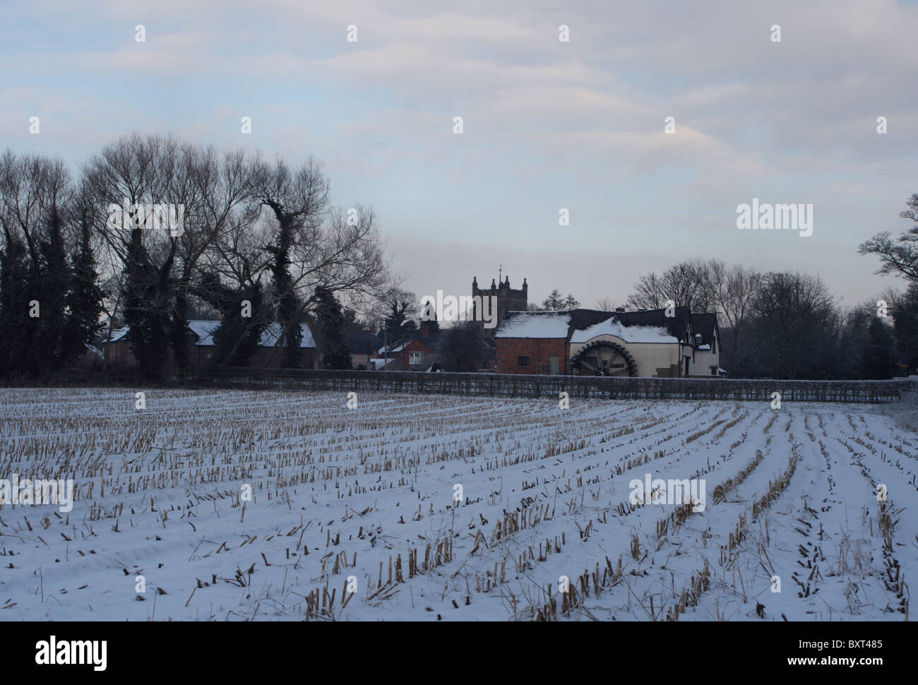 Farmland of harvested corn on the cob field covered in snow adjoining