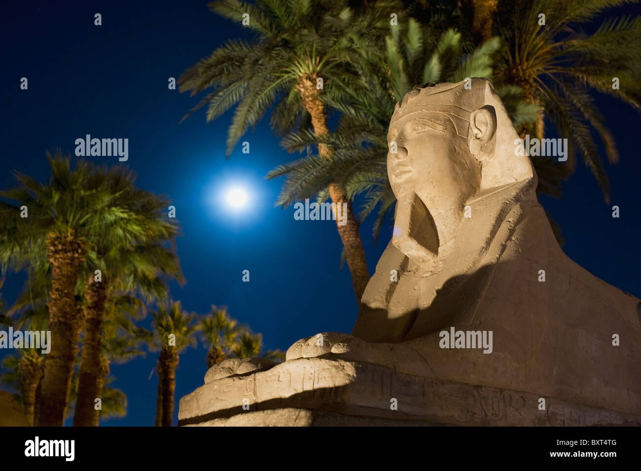 Sphinx And Date Palms With Full Moon Behind Stock Photo - Alamy