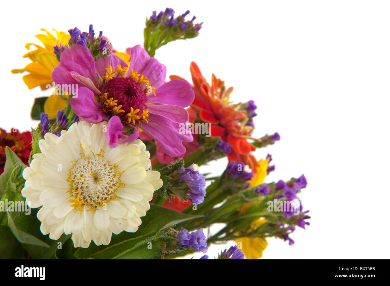 colorful flower bouquet isolated on white background Stock Photo - Alamy
