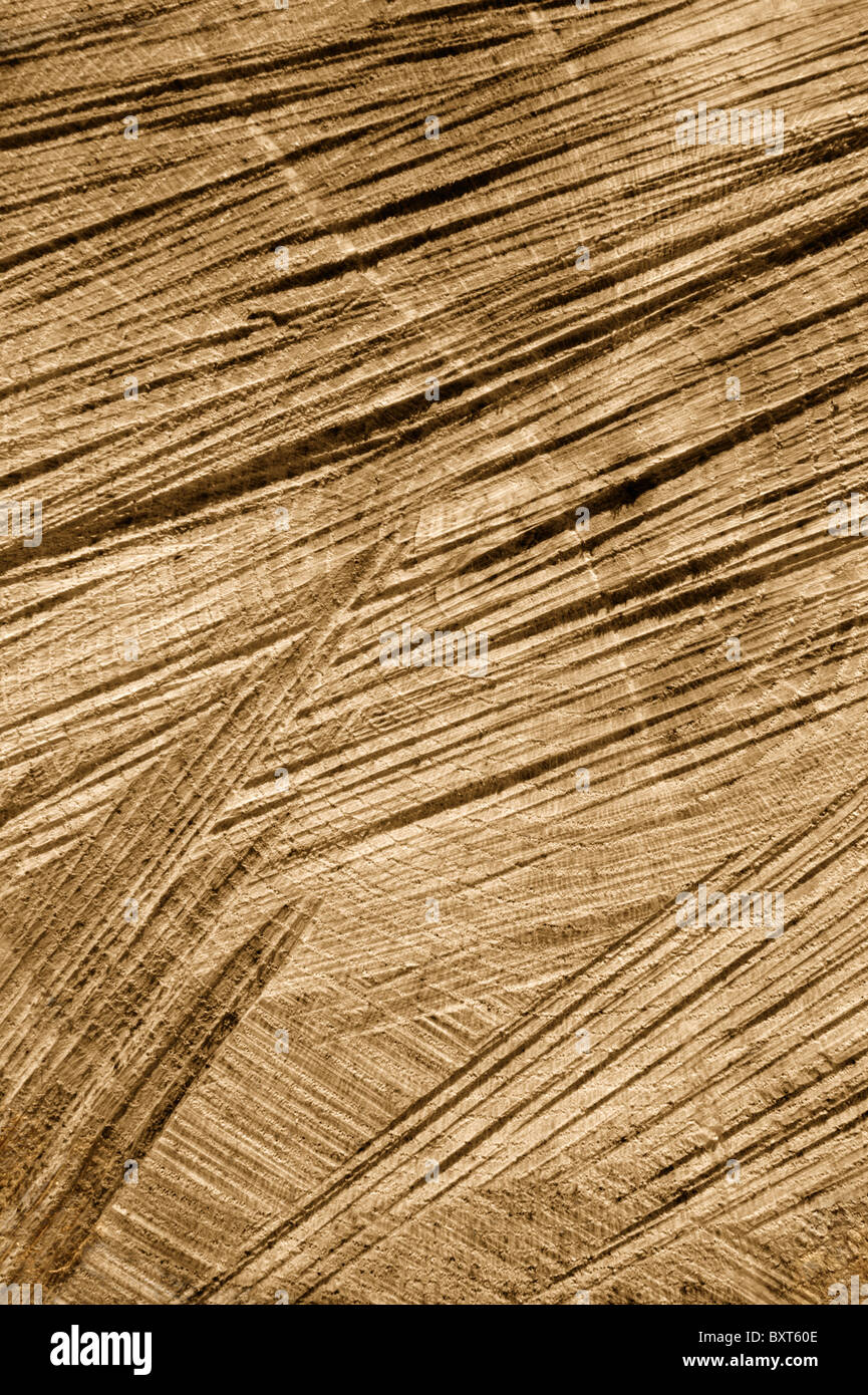 Detail of wooden cut texture - rings and saw cuts - oak - background ...