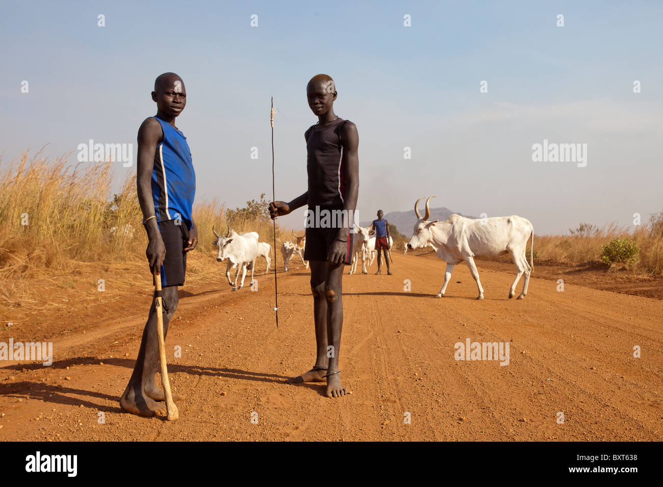 MUNDRI EAST COUNTY, SOUTHERN SUDAN, December 2010: Cattle herders of the Mundri tribe graze their cattle. Stock Photo