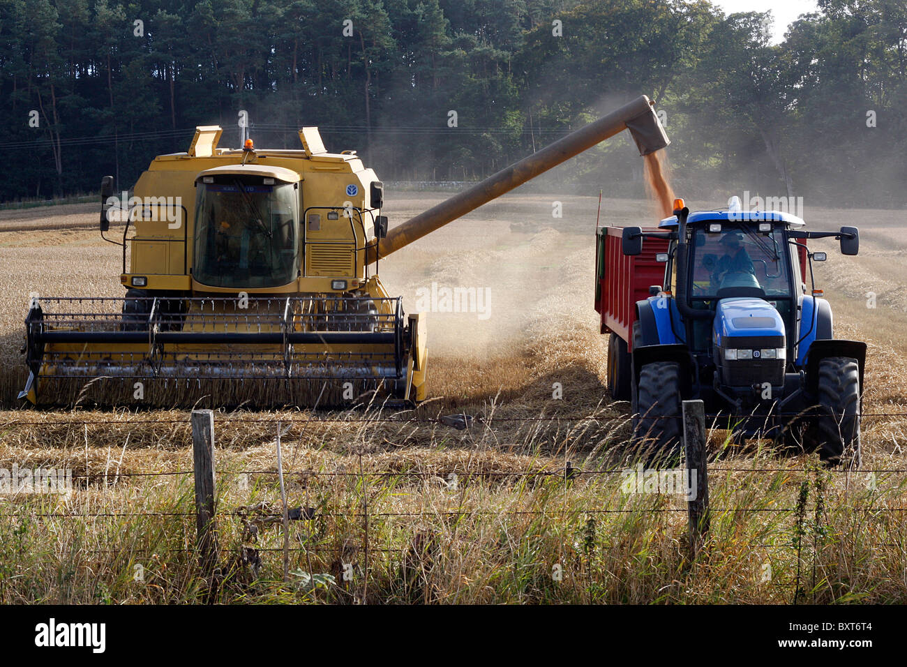 Combine harvester and tractor bringing in the harvest. Stock Photo