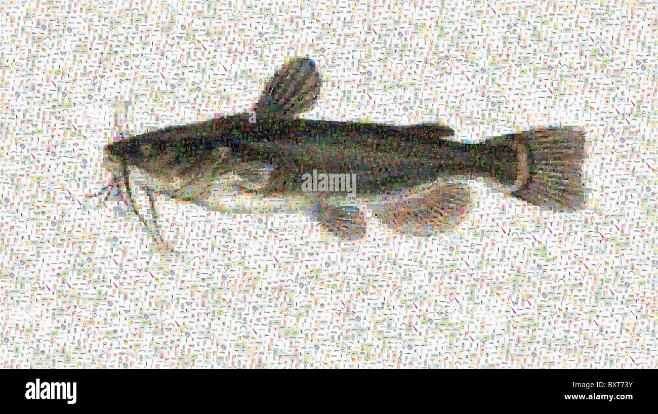 photomosaic of a black bullhead catfish, Ameiurus melas Stock Photo