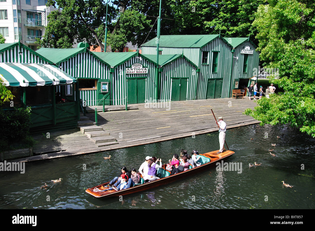 Punting by Antigua Boat Sheds, Cambridge Terrace, Christchurch, Canterbury Region, South Island, New Zealand Stock Photo