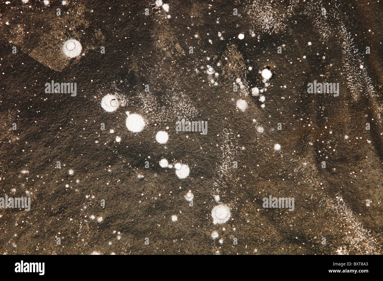 Methane bubbles trapped in ice on a tarn in the Lake District, UK. Stock Photo