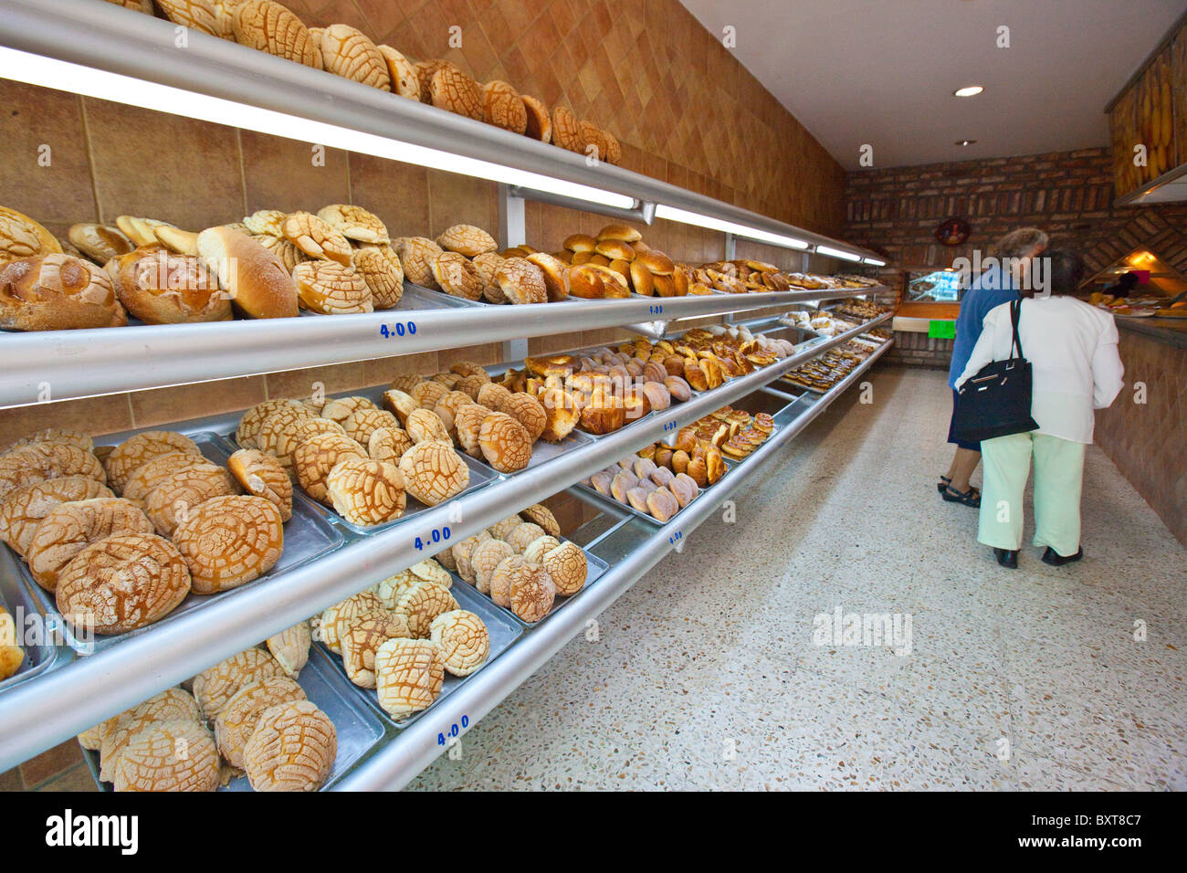 Conchas or Mexican sweet bread in a bakery in Coyoacan, Mexico City, Mexico Stock Photo
