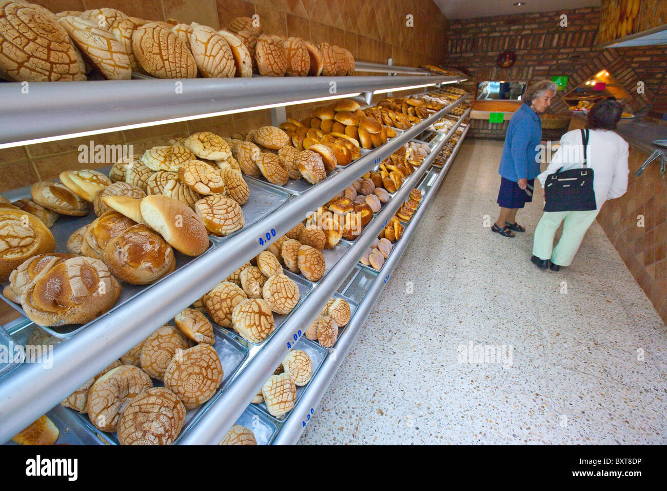 Conchas or Mexican sweet bread in a bakery in Coyoacan, Mexico City, Mexico Stock Photo