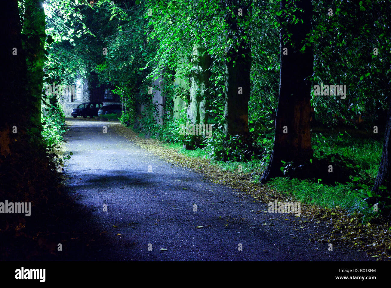 footpath at night Stock Photo