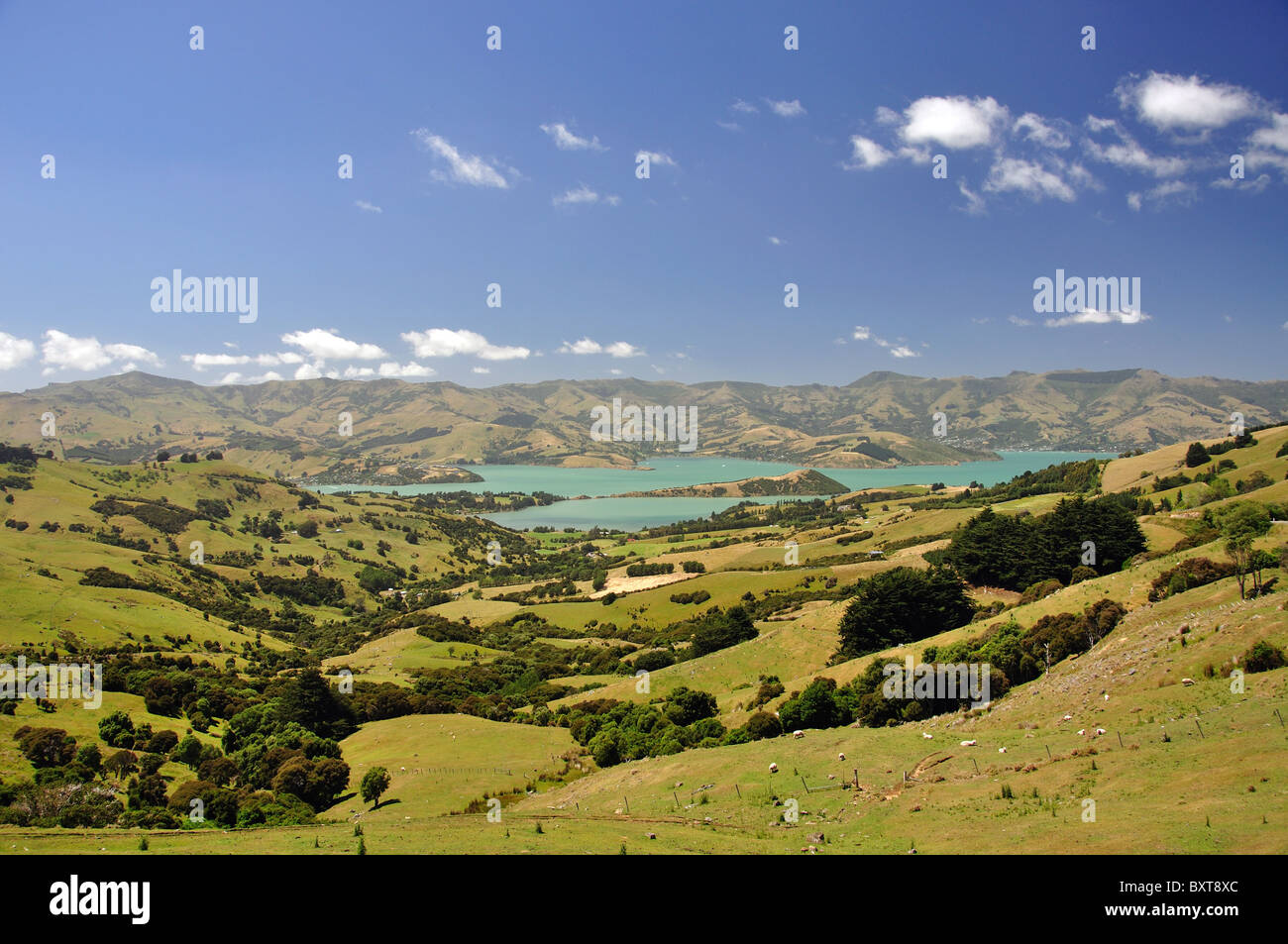 View of Akaroa Harbour from The Hilltop lookout, Akaroa, Banks