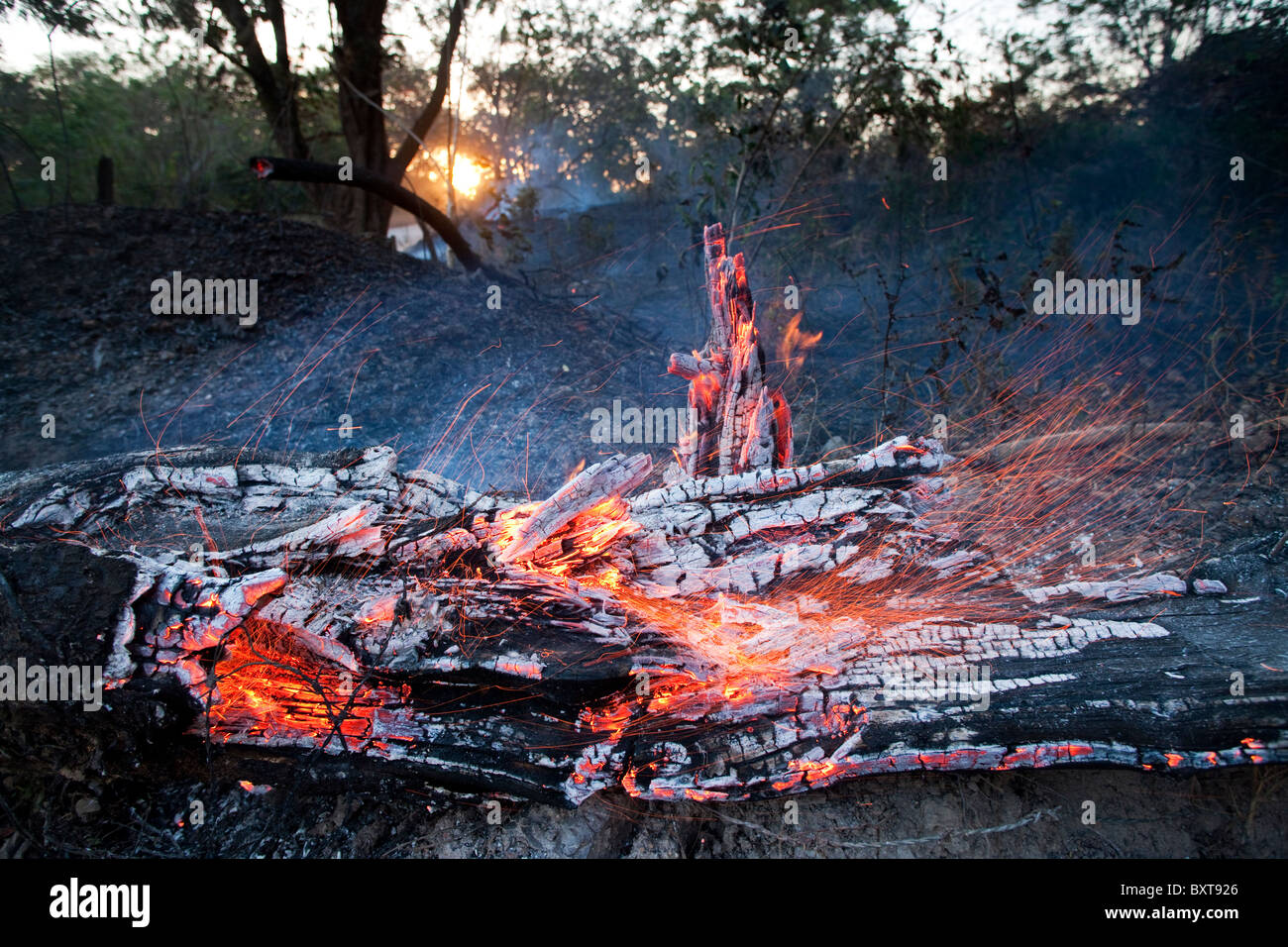 Costa Rica, Nicoya Peninsula, Fire burning in forest being cleared for