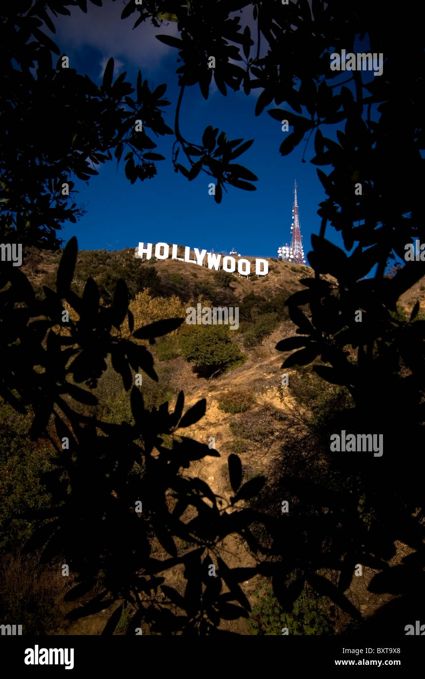 hollywood-sign-mount-lee-hi-res-stock-photography-and-images-alamy