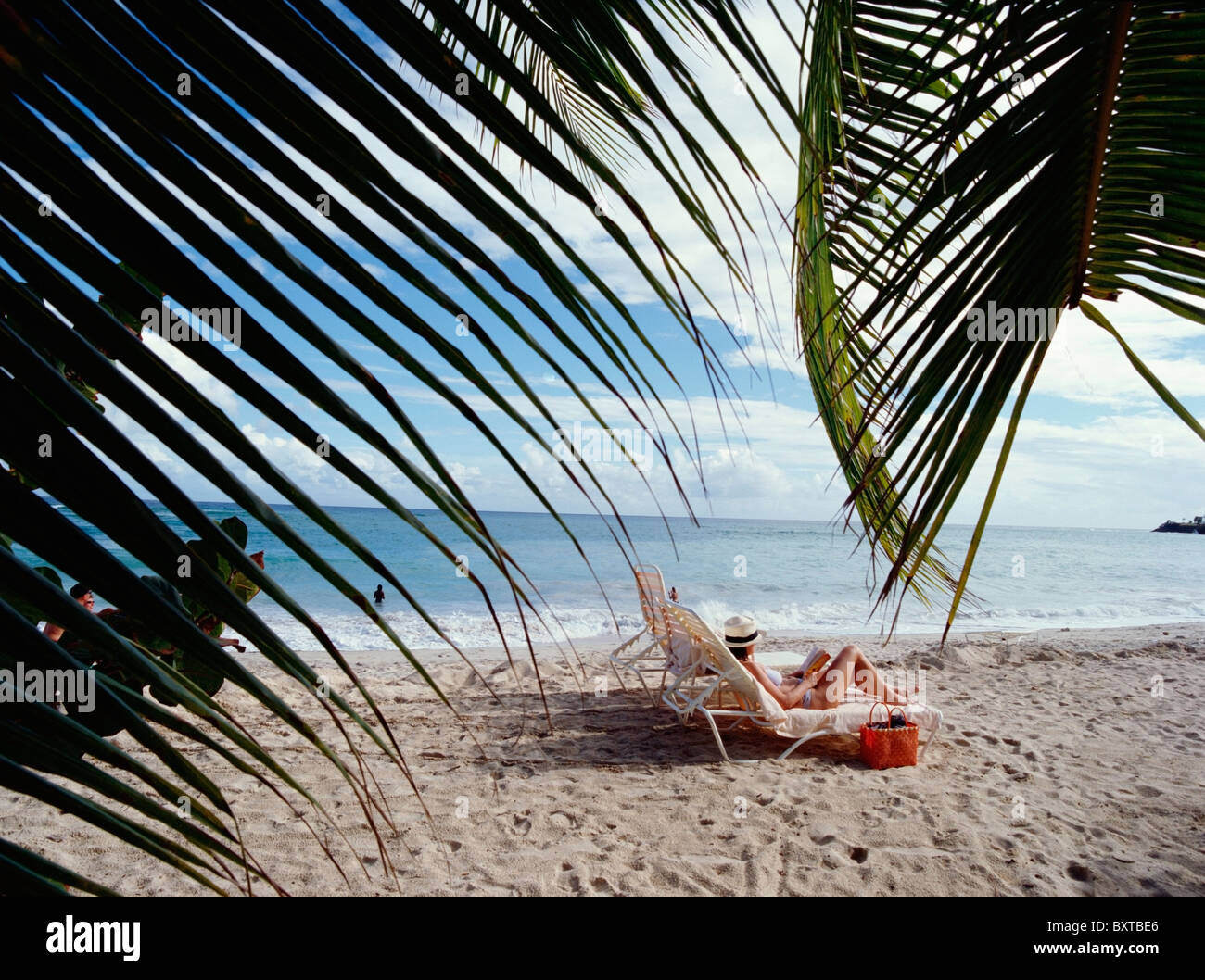 Grande Anse Beach Stock Photo Alamy