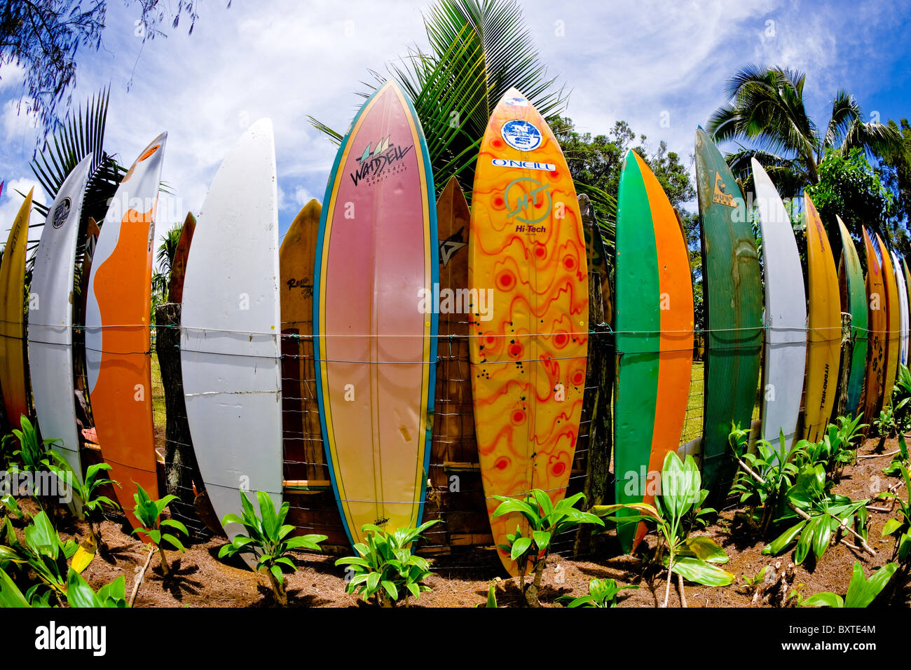 Surfboard fence maui hawaii hi-res stock photography and