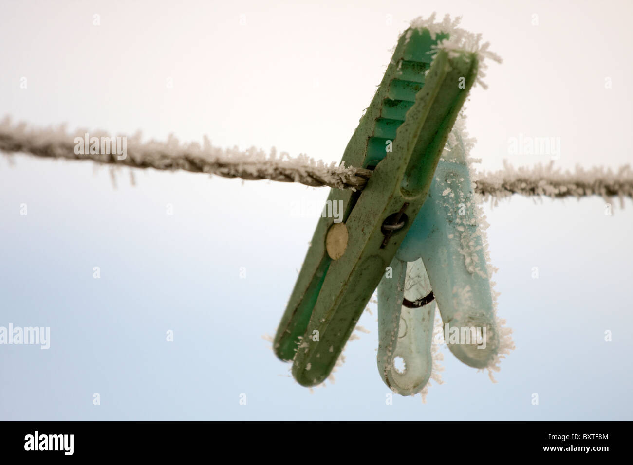 Frozen pegs on the wire. Stock Photo