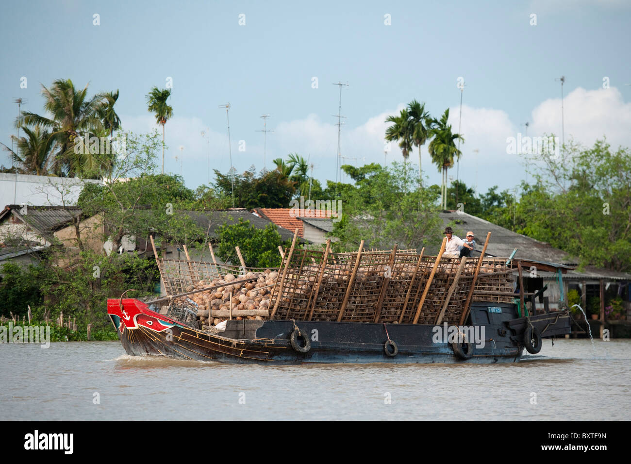 Boat transporting coconuts, Ben Tre, Mekong Delta, Vietnam Stock Photo