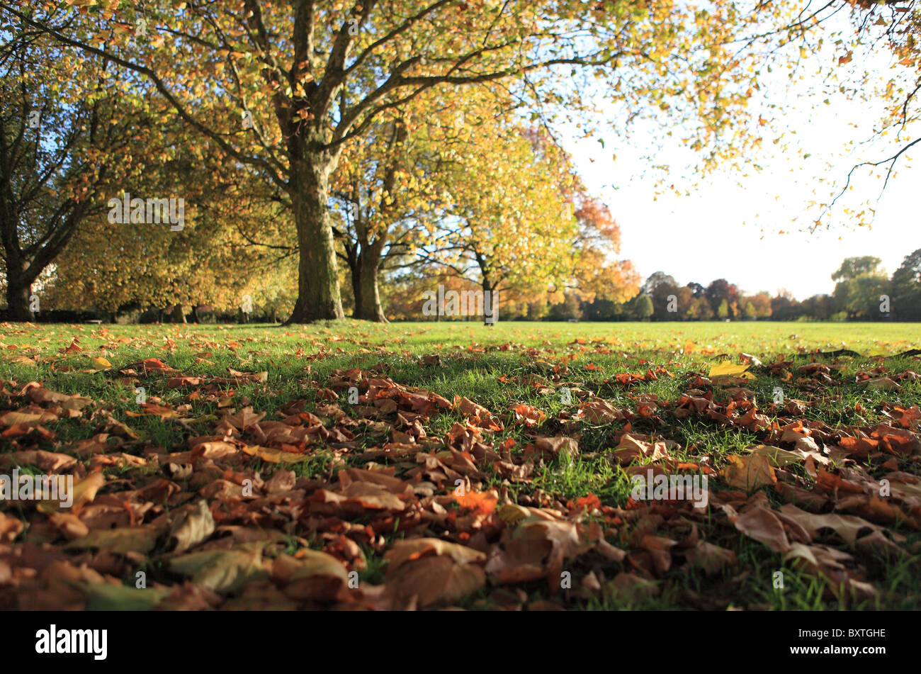 London Parks Hi-res Stock Photography And Images - Alamy