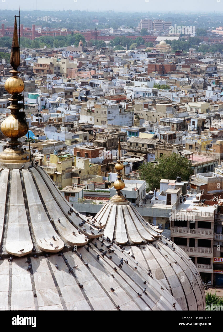 Rooftops Of Old Delhi From The Jami Masjid Stock Photo - Alamy