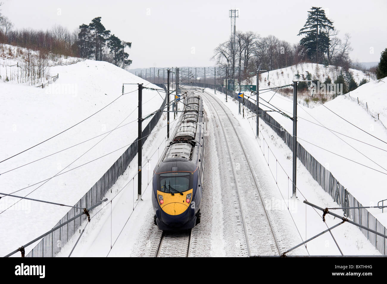 Speed Maidstone