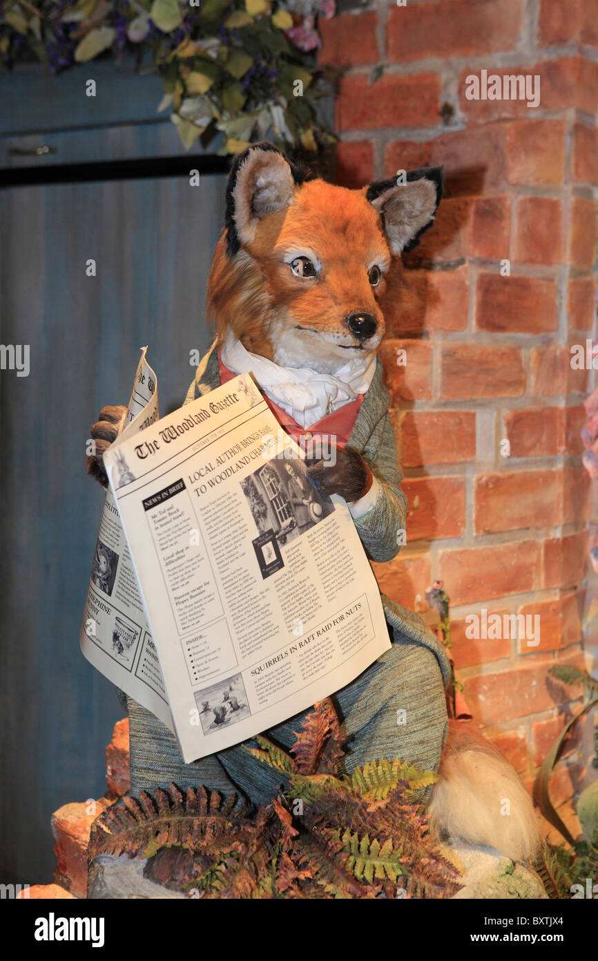 Cumbria, Bowness-on-windermere, The World Of Beatrix Potter Attraction, Mr Tod Stock Photo