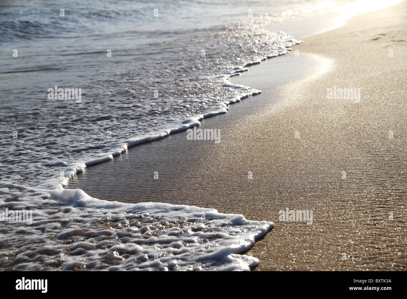 Waves washing up on a deserted beach shore with the golden glimmer of a ...