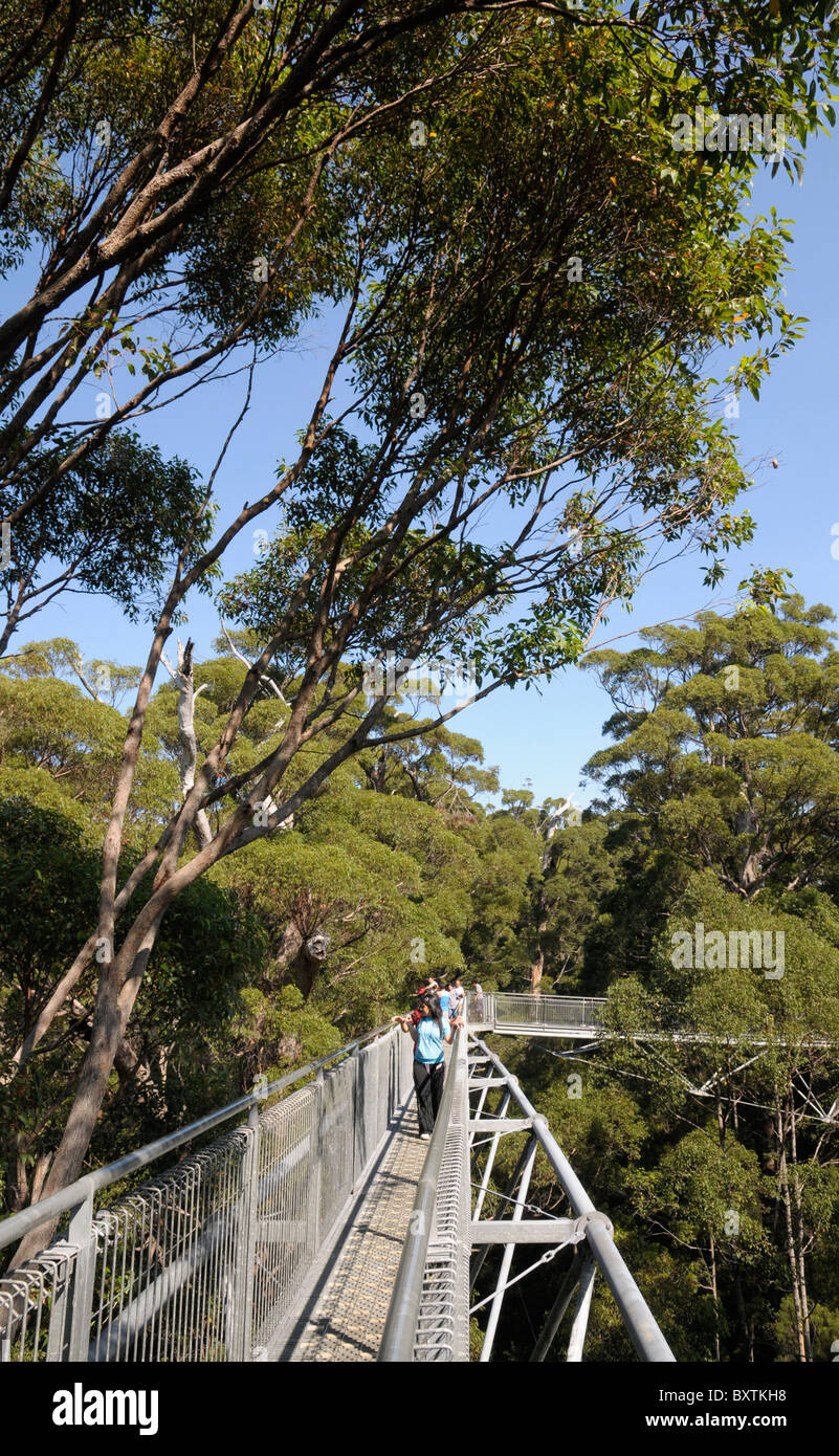 Treetop walk valley giants australia hires stock photography and images Alamy