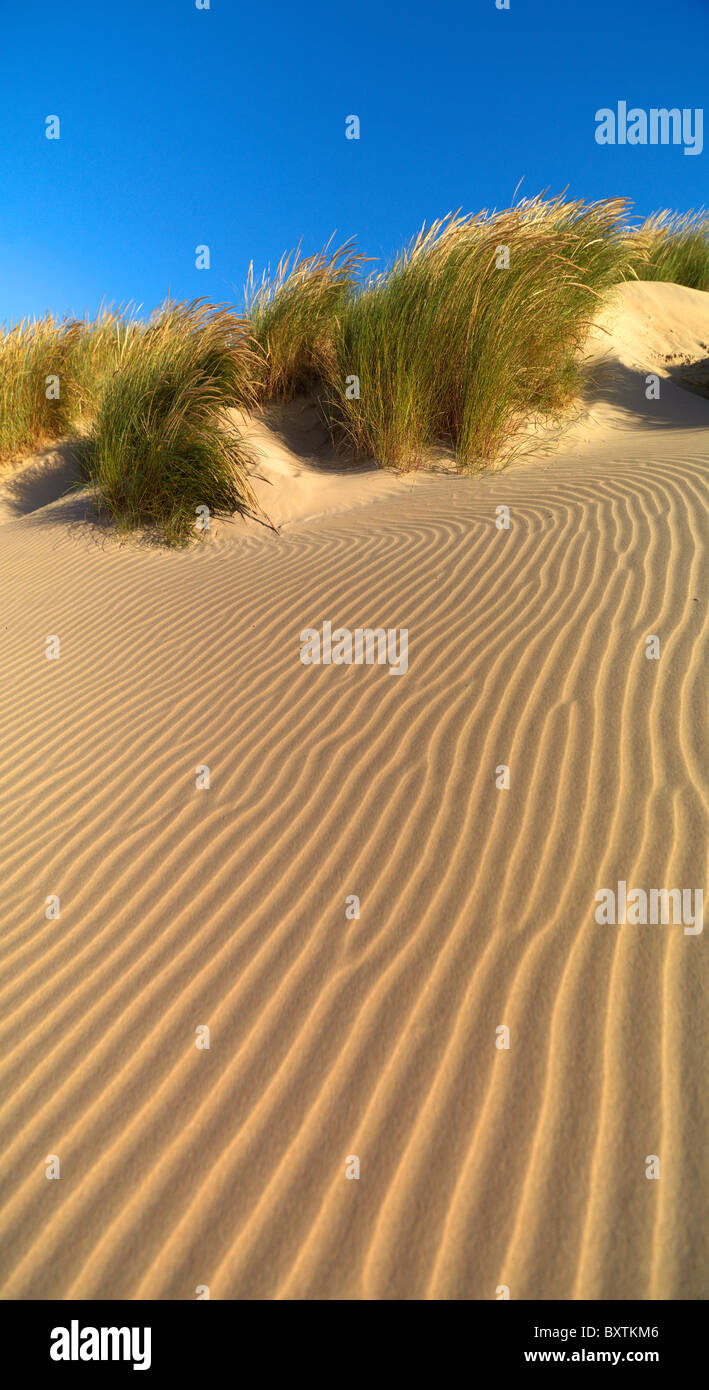 Camber Sands Dunes East Sussex Stock Photo