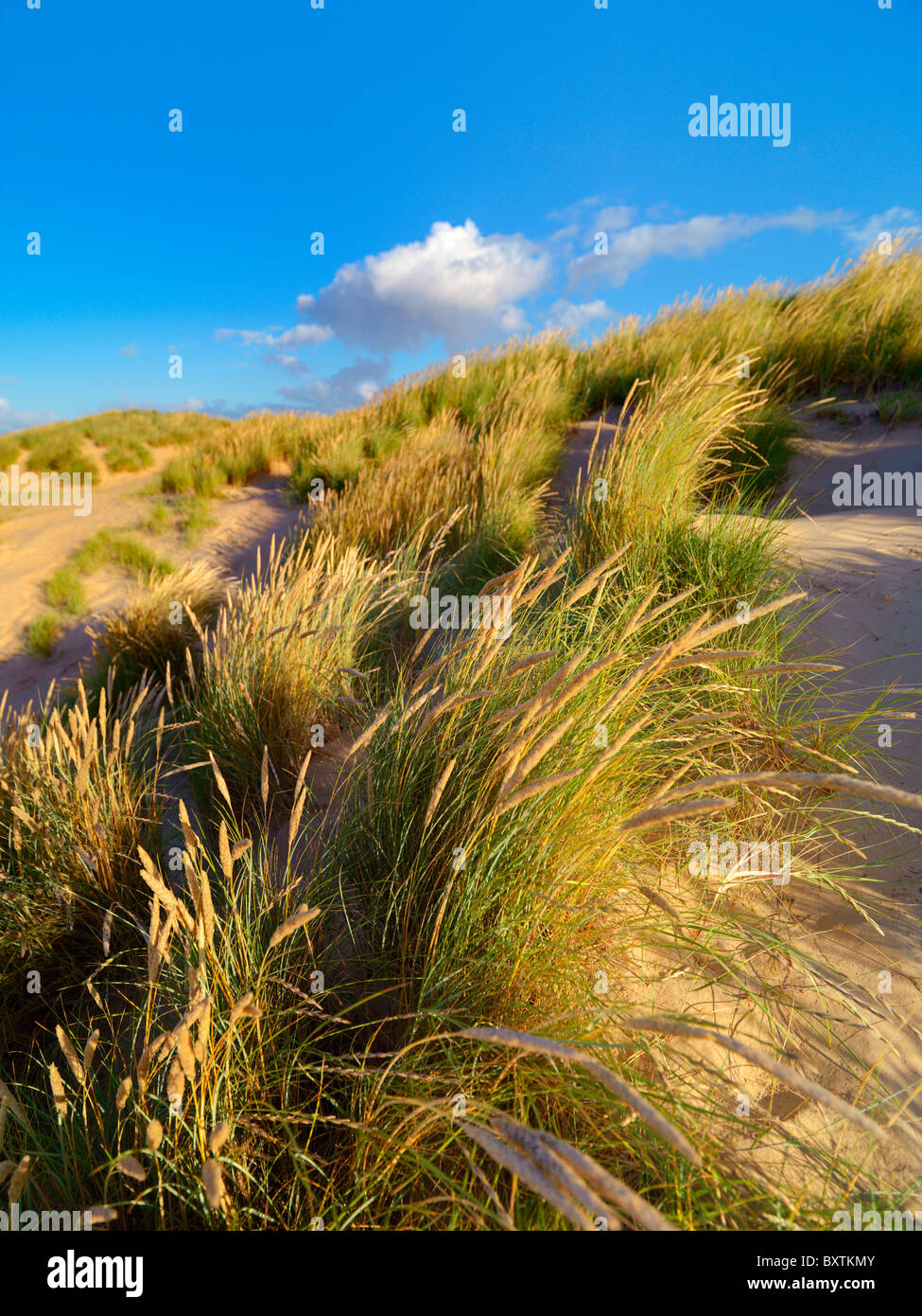 Camber Sands East Sussex Stock Photo