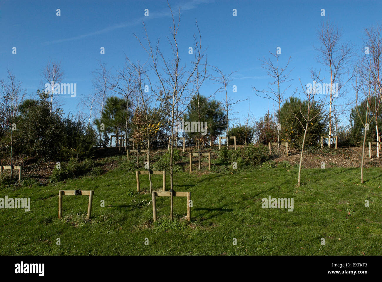 Verge Planting High Resolution Stock Photography and Images - Alamy