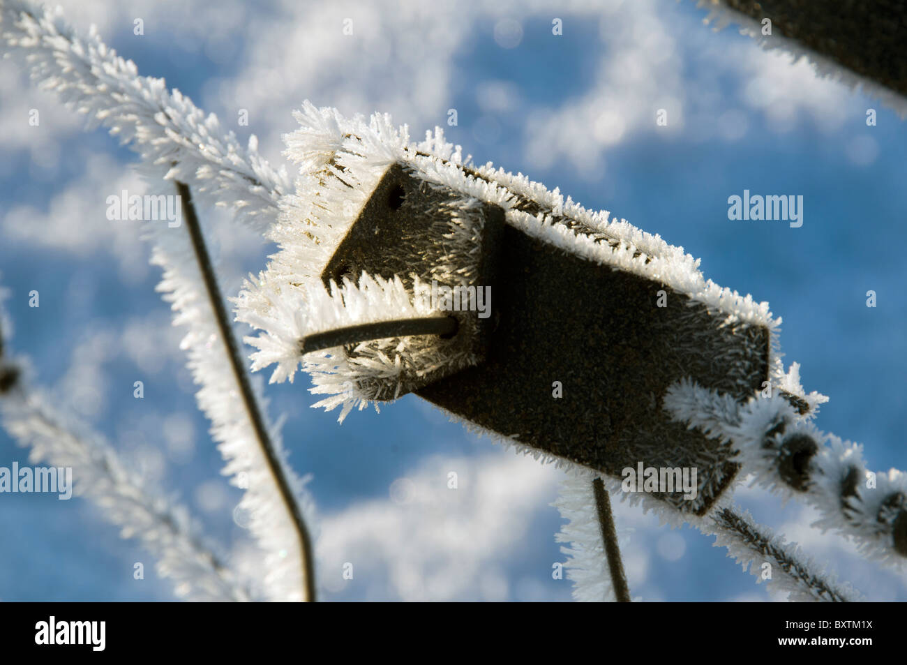 Wire fence tensioner covered in frost crystals, near the village of Scarfskerry, Caithness, Scotland, UK Stock Photo