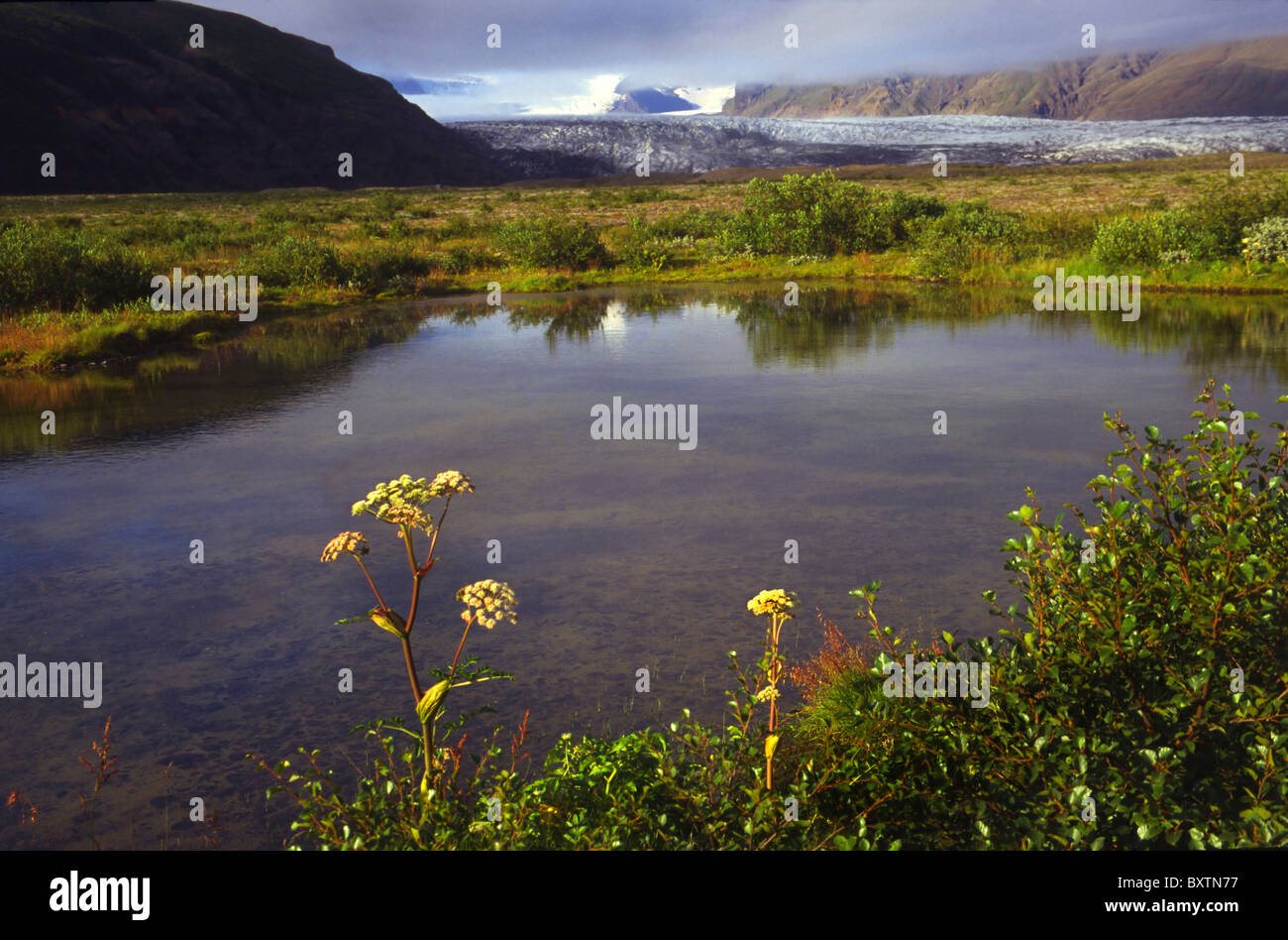 Europe, Iceland, Skafta Fell Landscape With Lake Stock Photo