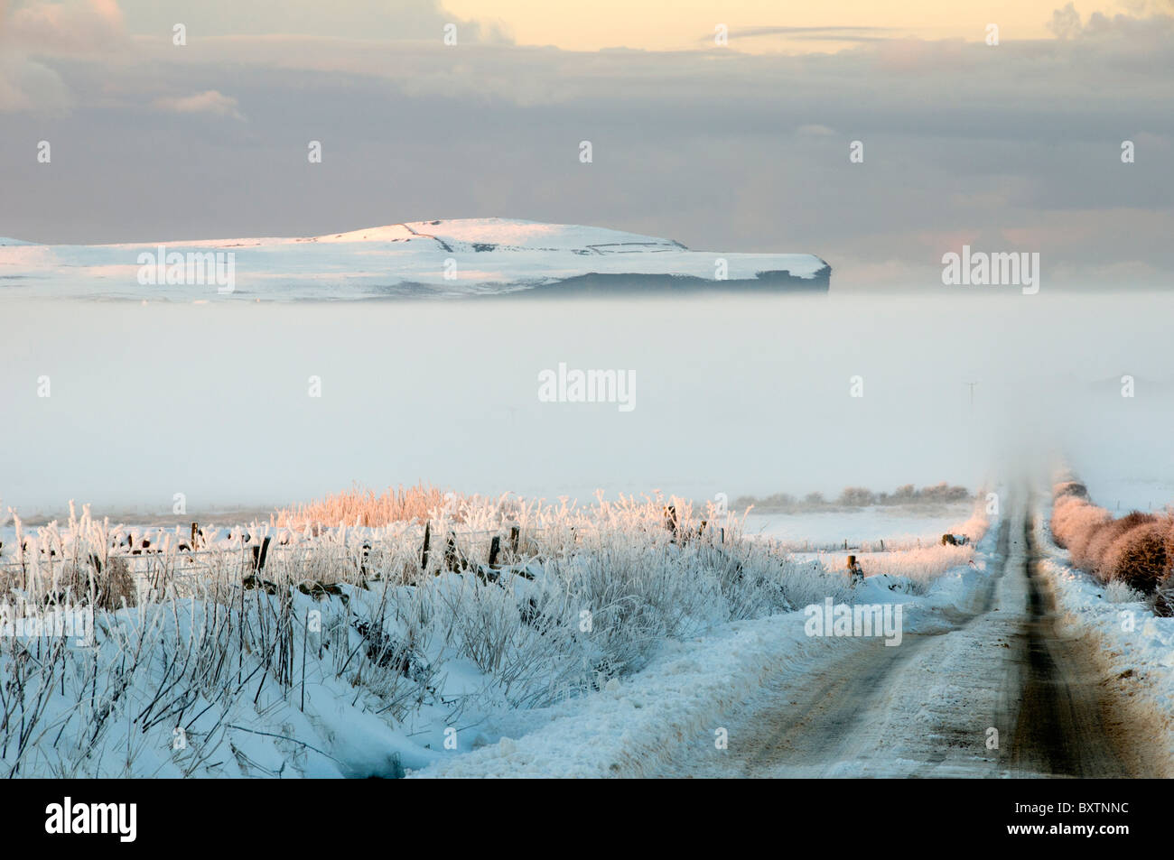 Head over fog with a snow covered road in foreground. From