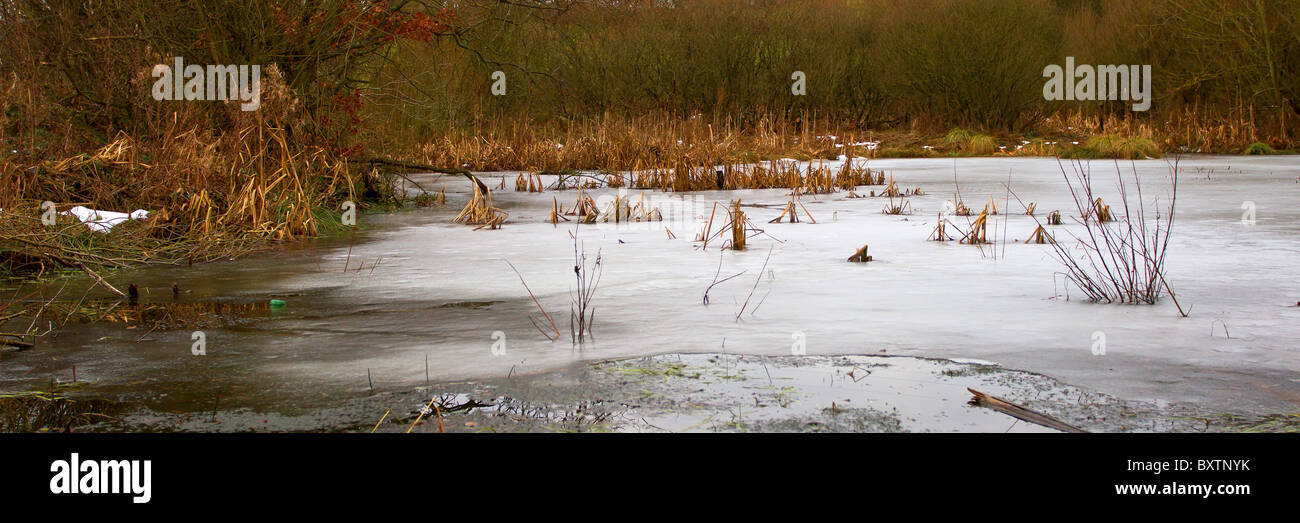 Frozen Pond in winter at Blaydon burn nature walk. Stock Photo
