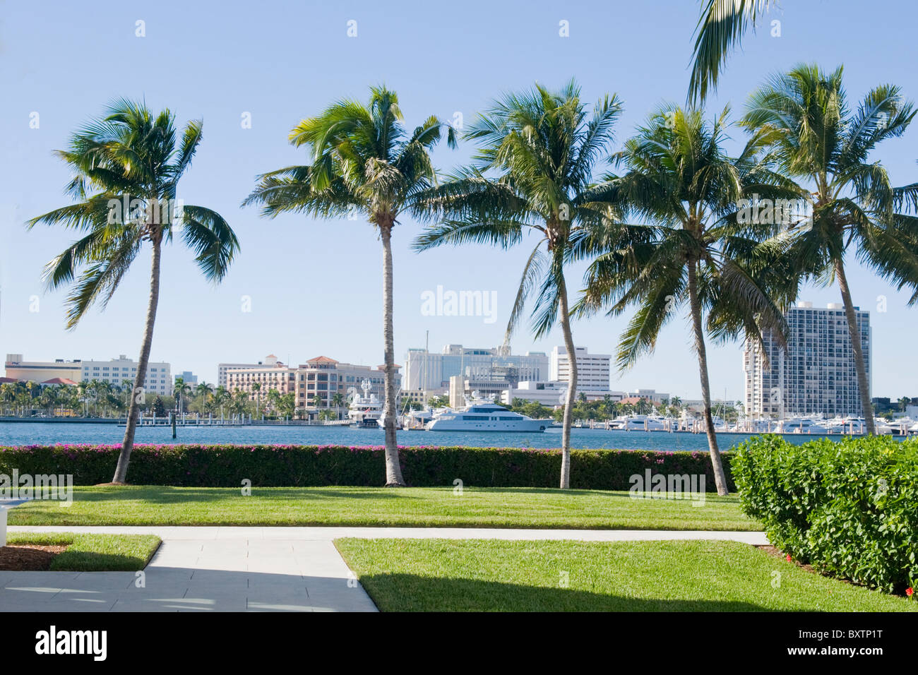 Whitehall built 1902 by Henry Flagler Museum , Palm Beach , Florida , USA , view over intercoastal from gardens with palm trees Stock Photo