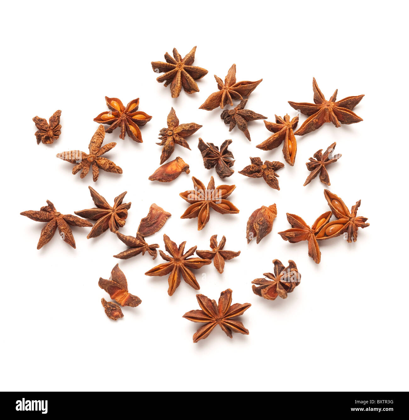 llicium verum, Star anise, star aniseed, or Chinese star anise