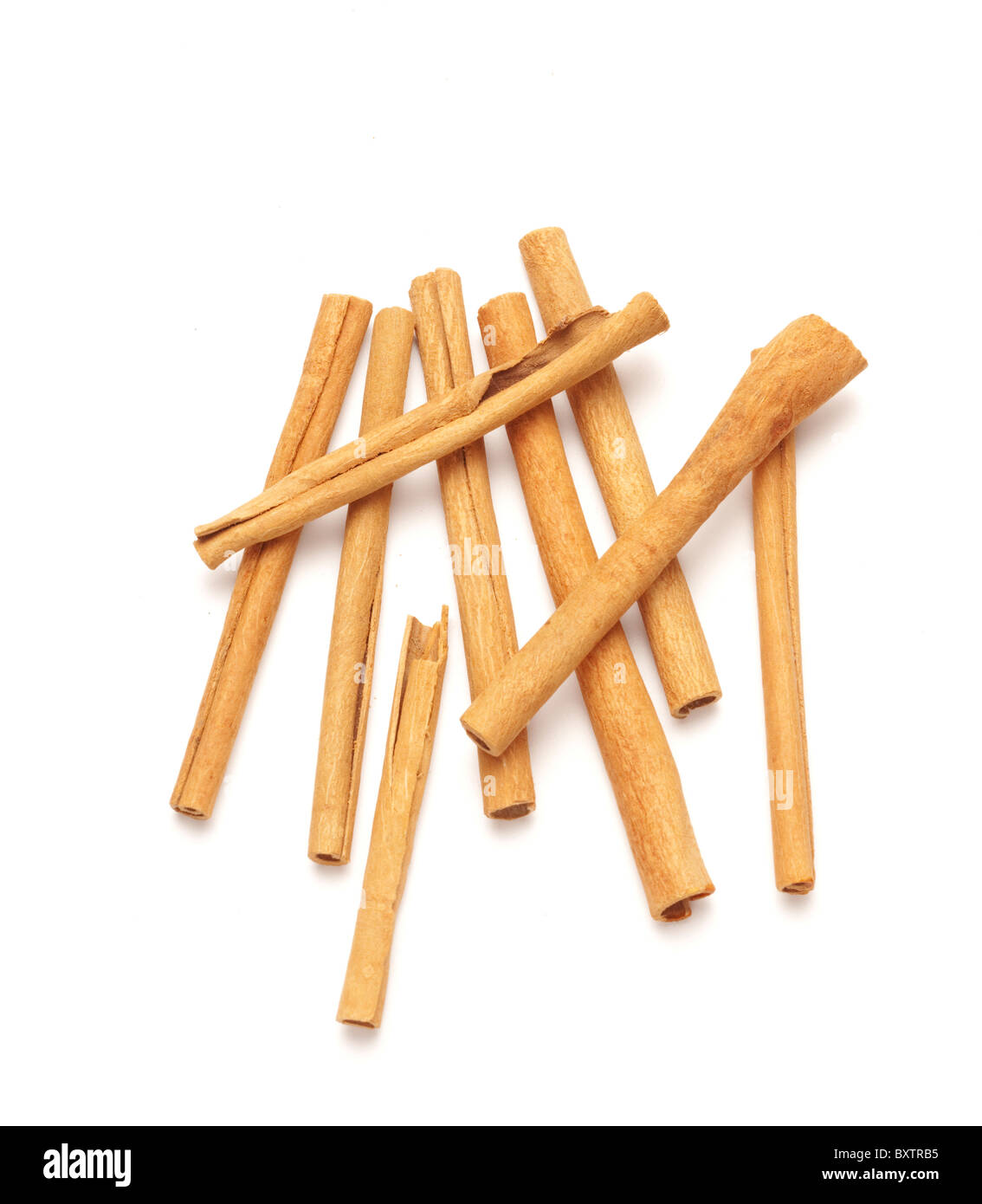 Cinnamon sticks, studio shot Stock Photo