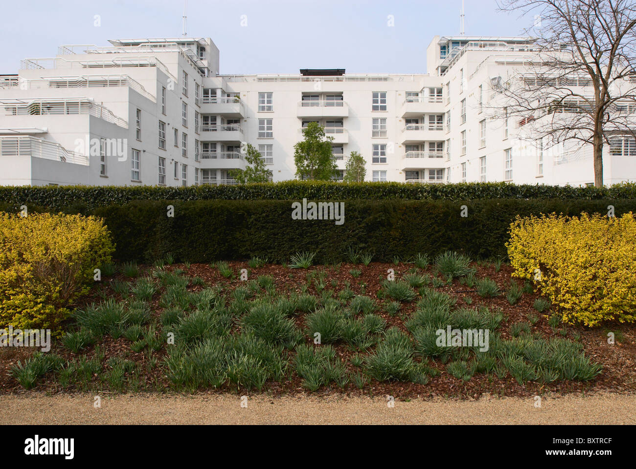 Barrier Point Apartments looking over Thames Barrier Park East London UK Stock Photo Alamy