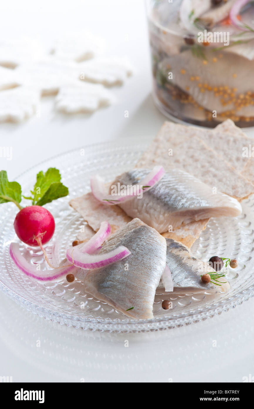 Pickled herring hires stock photography and images Alamy