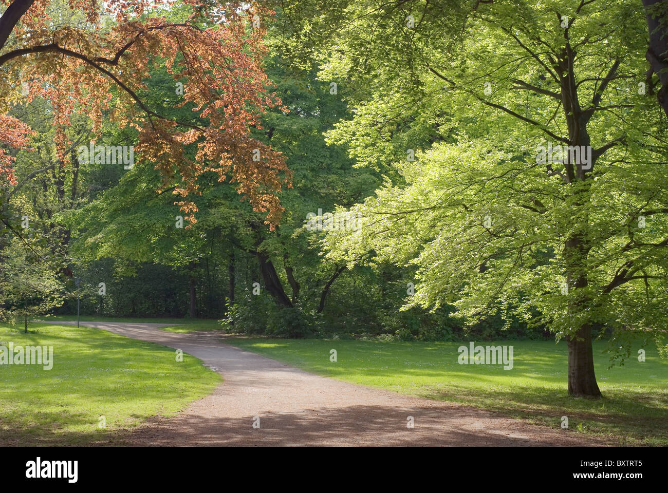 Artistic scenery hi-res stock photography and images - Alamy